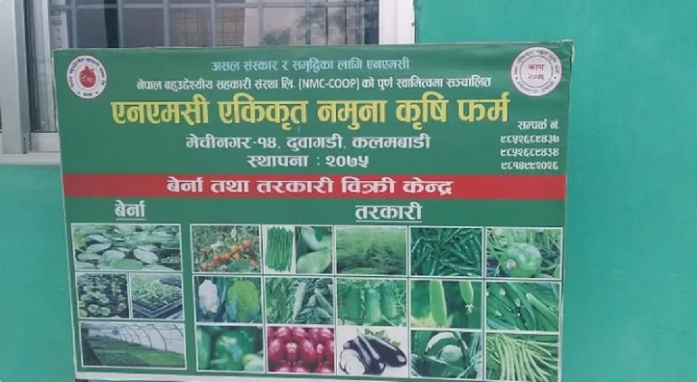 कृषि उद्यममा नमूना 'एनएमसी एग्रो'