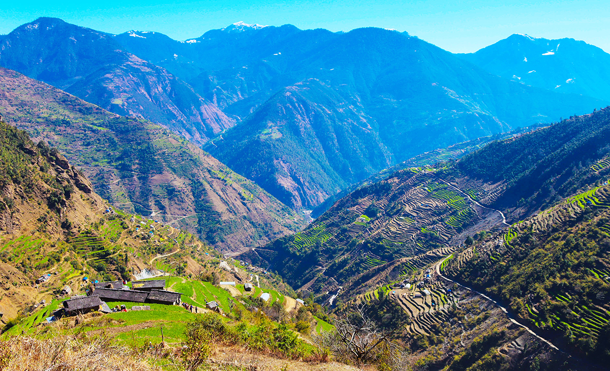 पशुपालक घटेपछि उराठ बन्दैछन् खर्क