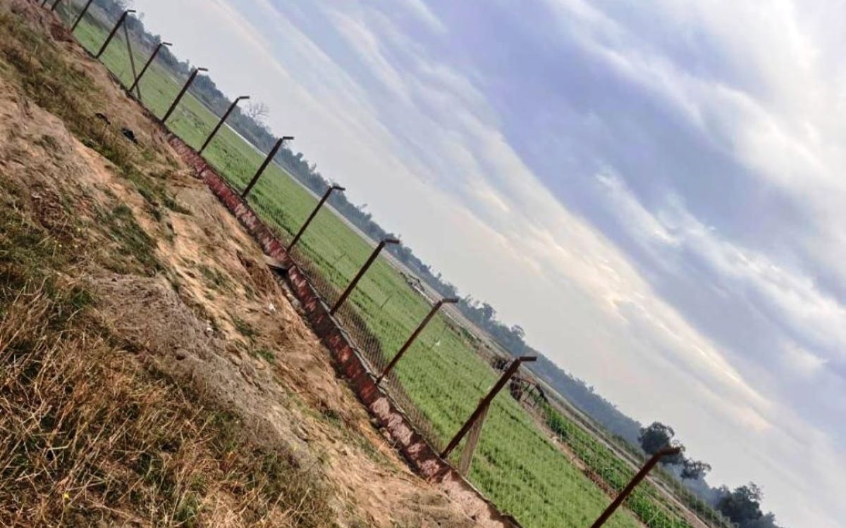 जंगली जनावरको आतंक रोक्न तारजाली जडान गरिँदै