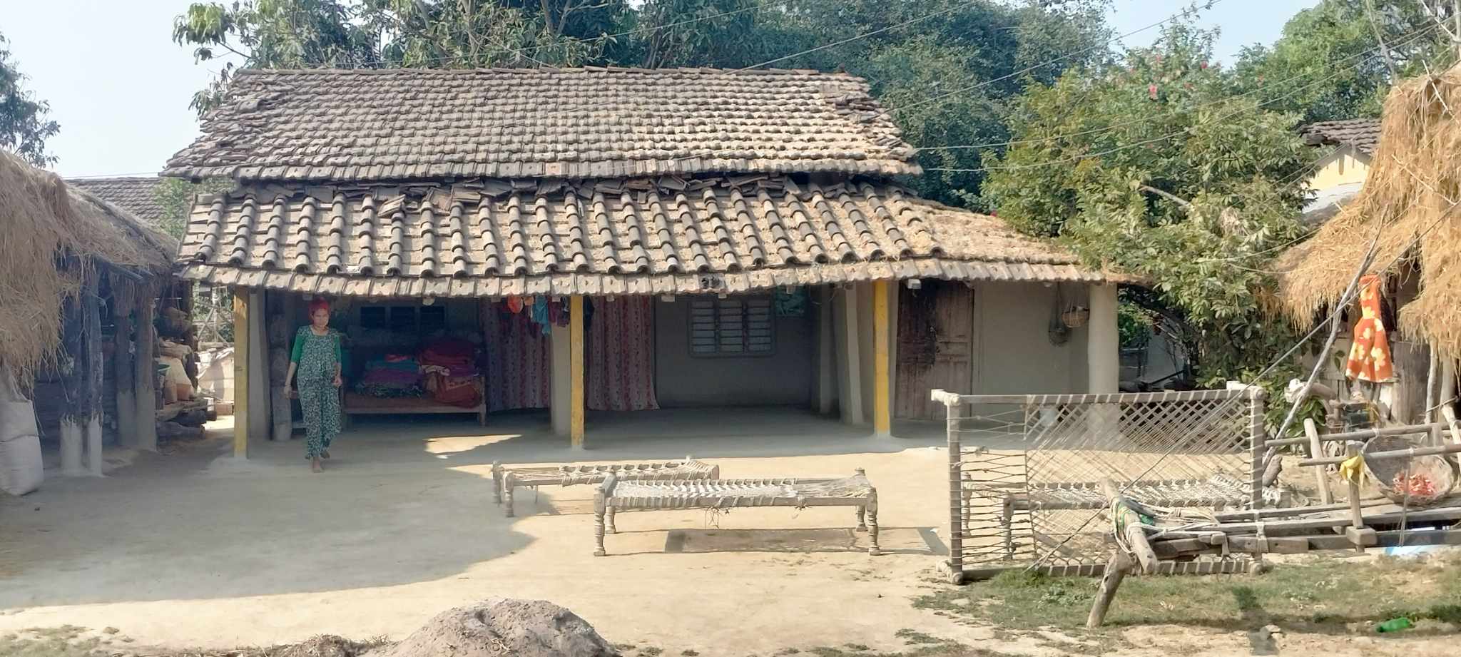 हराउँदै परम्परागत थारु घर