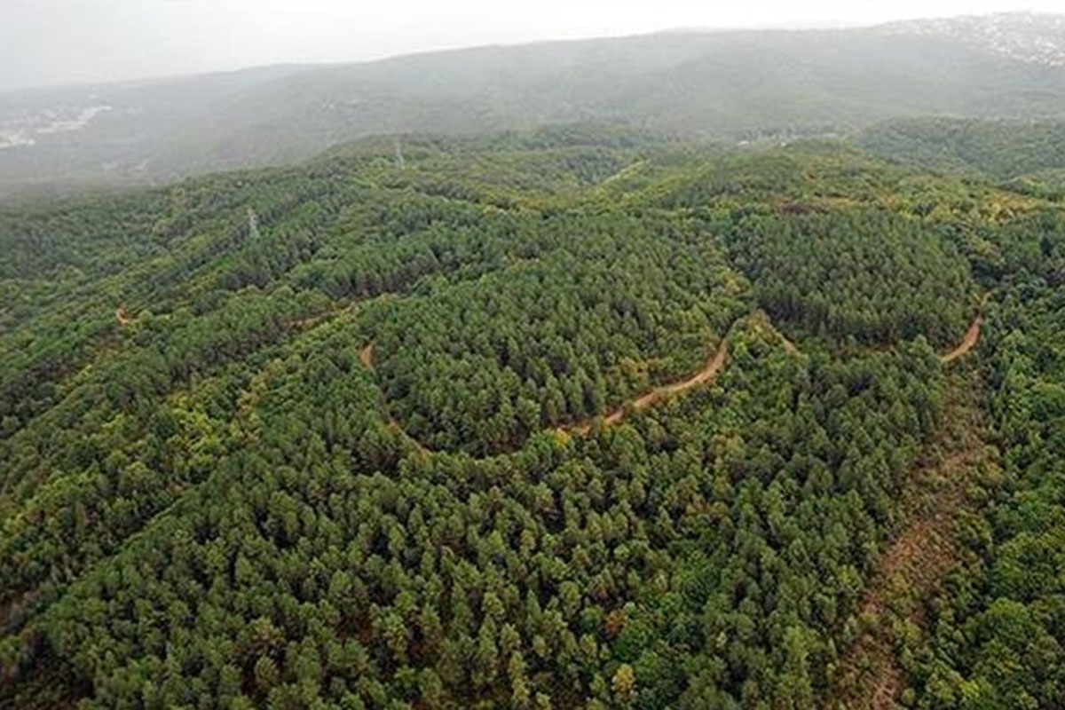 टर्कीको जंगलमा आगो बाल्‍ने कुनै पनि गतिविधि गर्न नपाइने