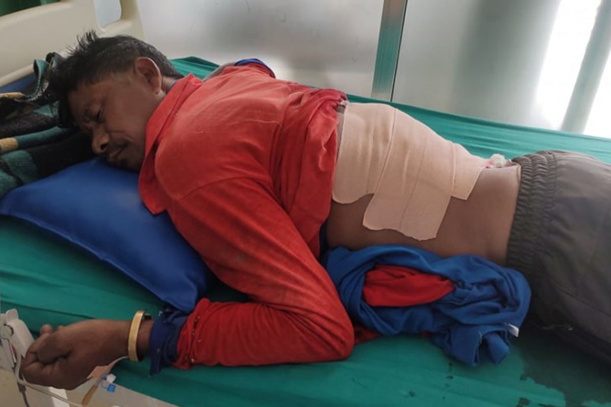 गैंडाको आक्रमणबाट राना घाइते