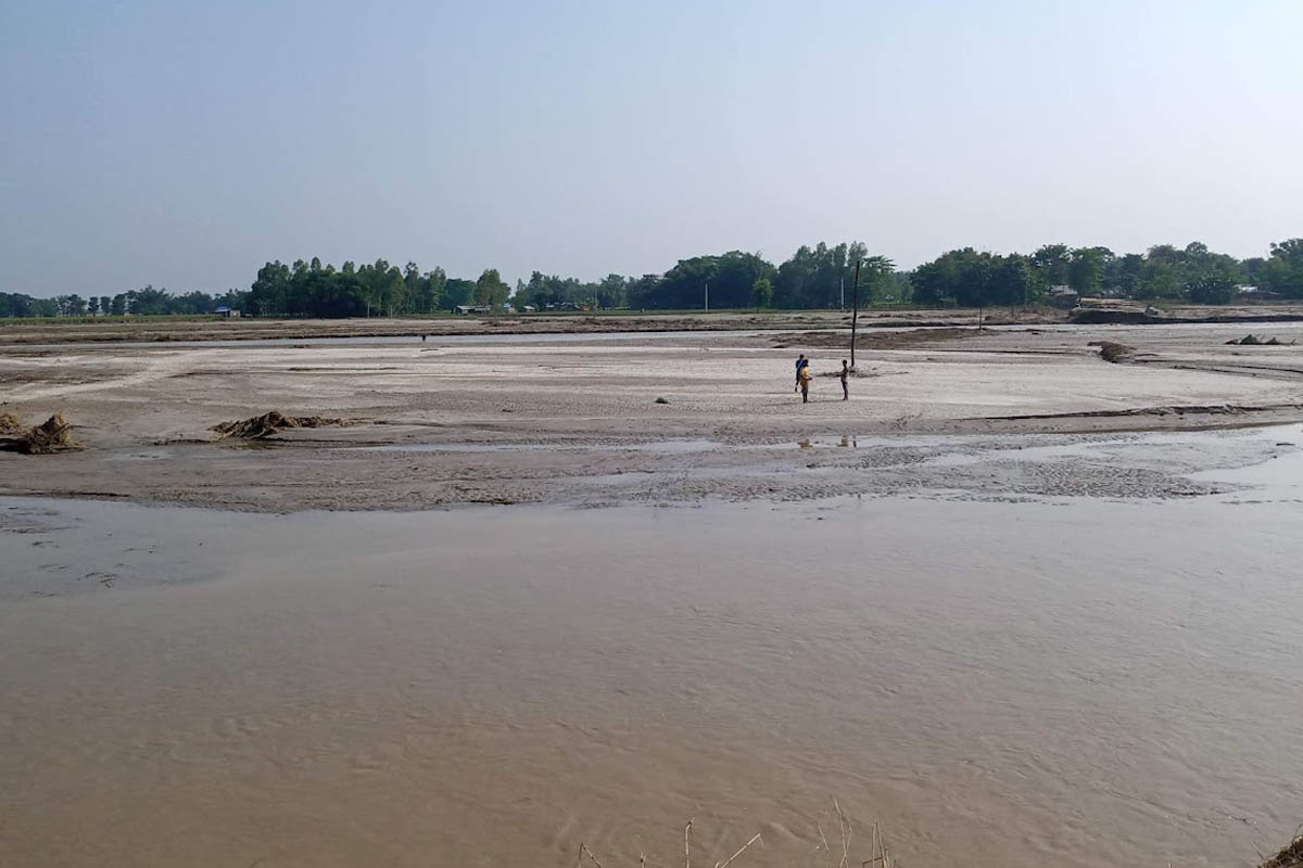 बाढीपीडित किसानको पीडा : पाकिसकेको धान खेत अहिले बगर भयो, हामी एक वर्ष के खाएर बाँच्ने?