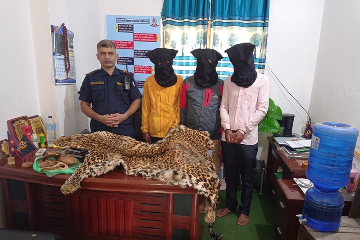 वन्यजन्तुका अंग तस्करीको ‘ट्रान्जिट’ बन्दै बाँके, ‘तस्कर’माथि प्रहरीको एक्सन