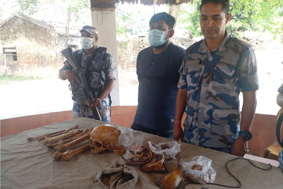 एमबीबीएस पढ्ने भारतीय विद्यार्थी मानव अंगसहित पक्राउ