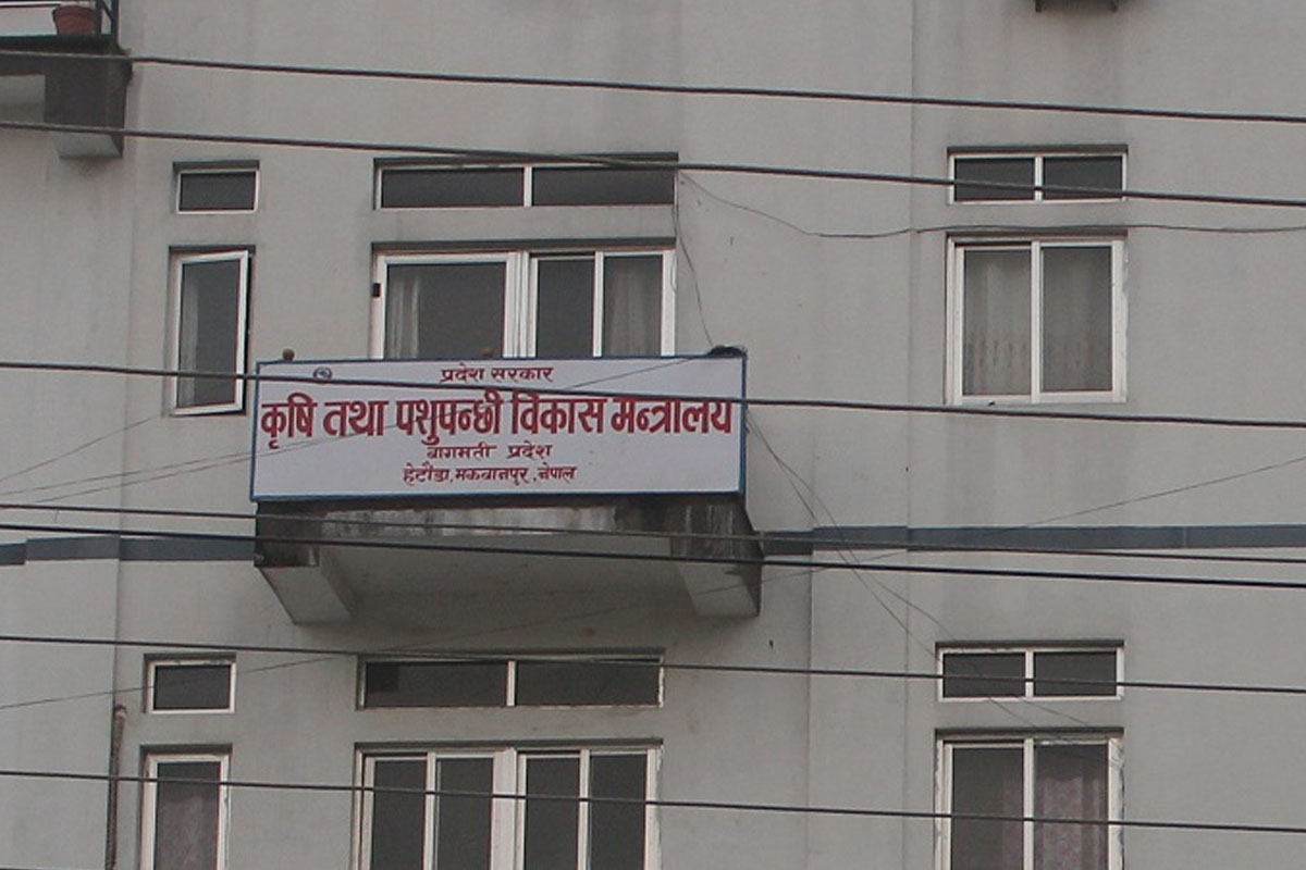बागमती प्रदेश कृषि मन्त्रालयले माग्यो ६३ कर्मचारी (विज्ञापनसहित)