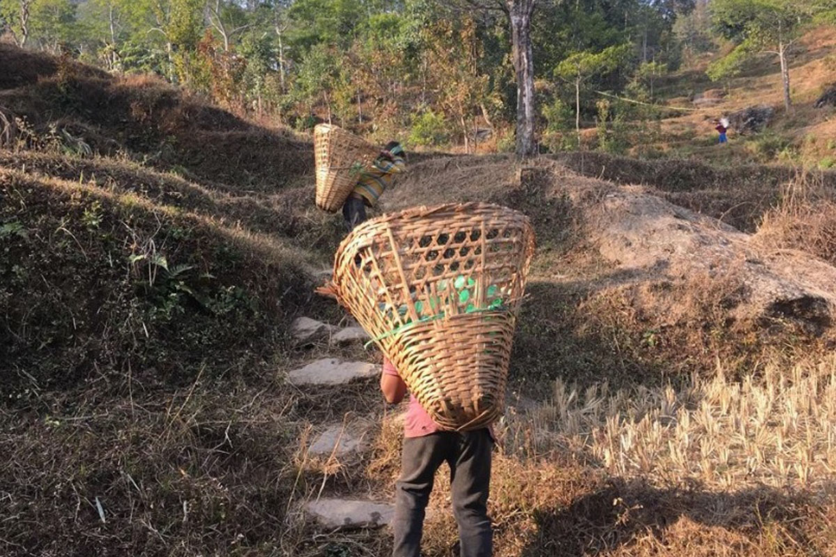 सम्बन्धविच्छेदको असर बालबालिकामा, बढ्यो बालश्रम