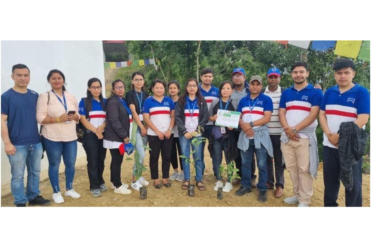 वातावरण दिवसमा माछापुच्छ्रे बैंकको वृक्षरोपण