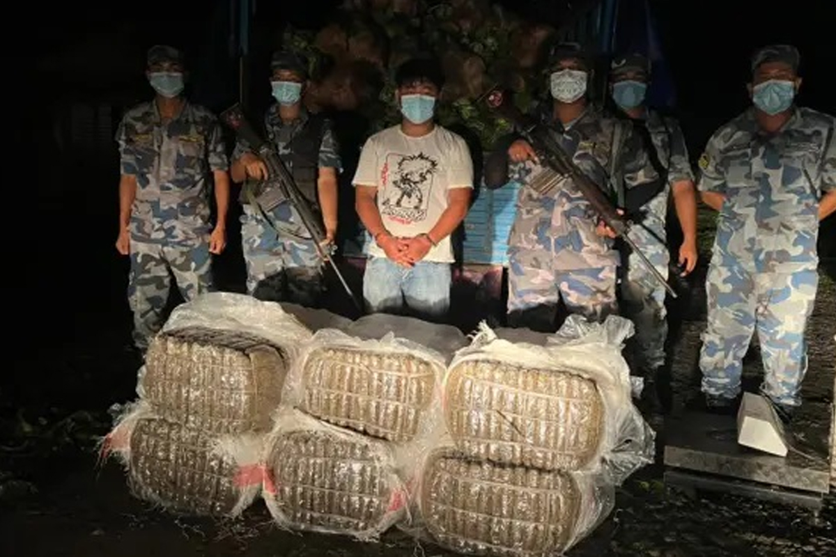 विराटनगरमा बन्दा काउली बोकेको मिनि ट्रकबाट १५६ किलो गाँजा बरामद