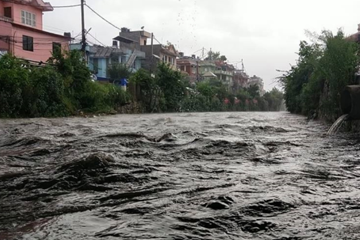 विष्णुमतीमा हाम फालेका एक व्यक्तिको उद्धार