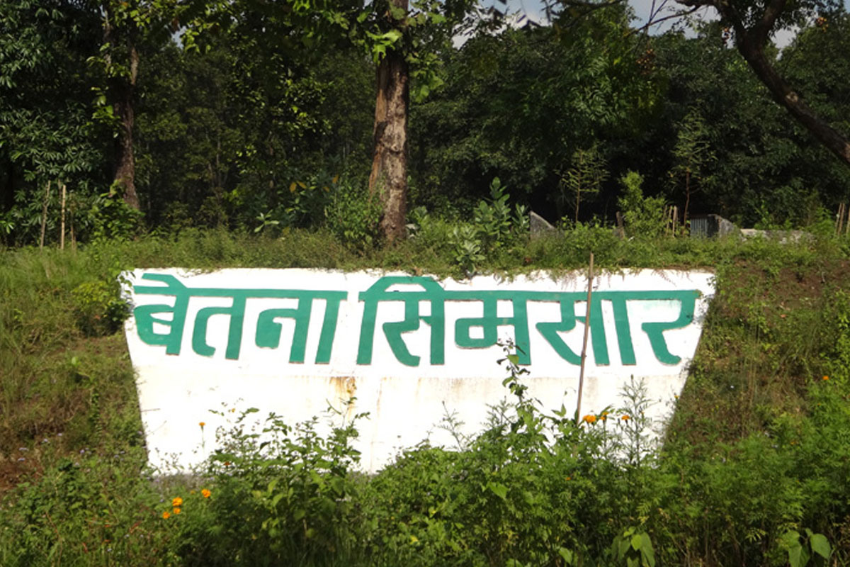 पर्यटक लोभ्याउँदै बेतना सिमसार