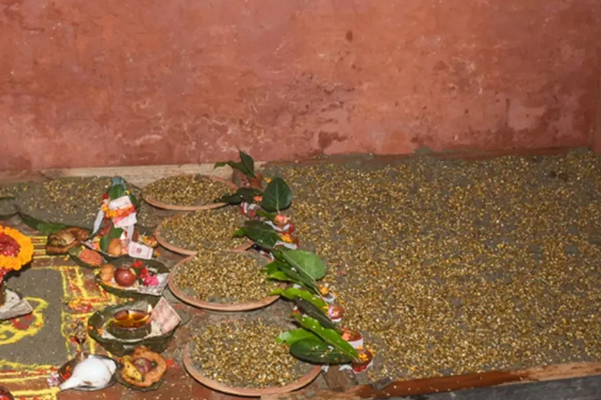 हनुमानढोकास्थित दसैंघरमा राखियो विधिवत जमरा