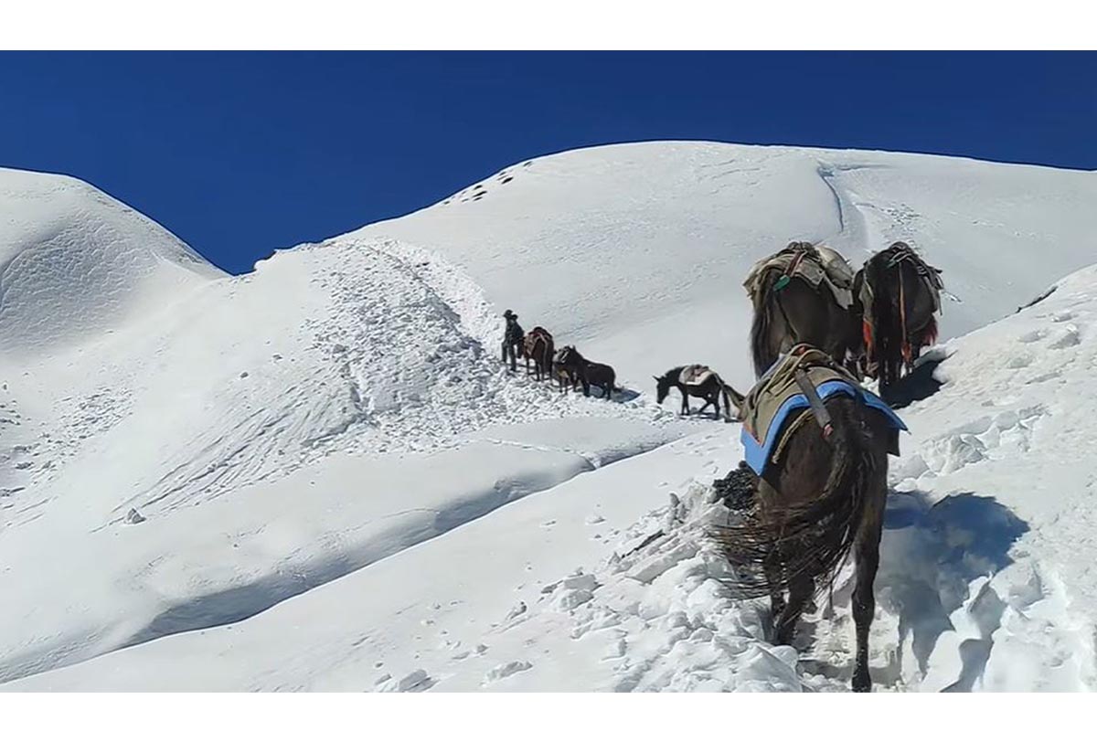 हिउँ छिचोल्दै उपल्लो डोल्पामा खाद्यान्न ढुवानी