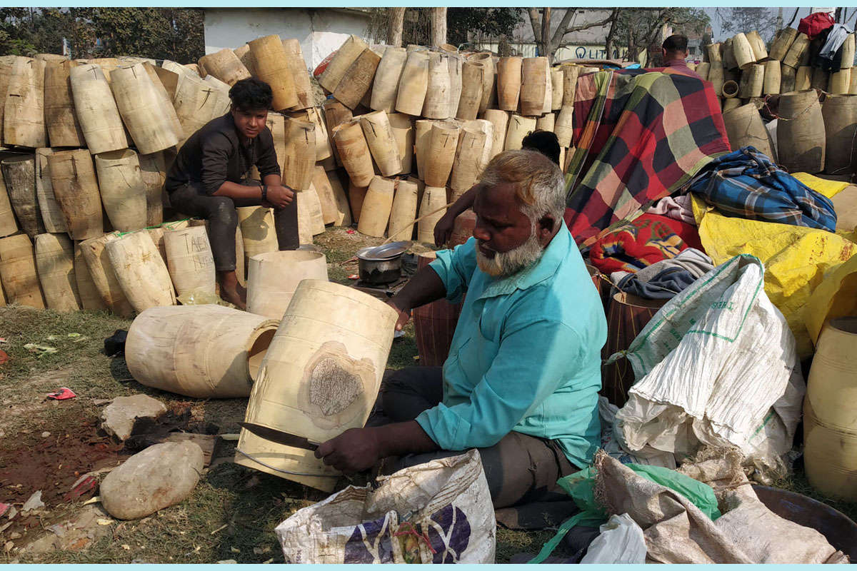 मादलमा भारतीय सीप