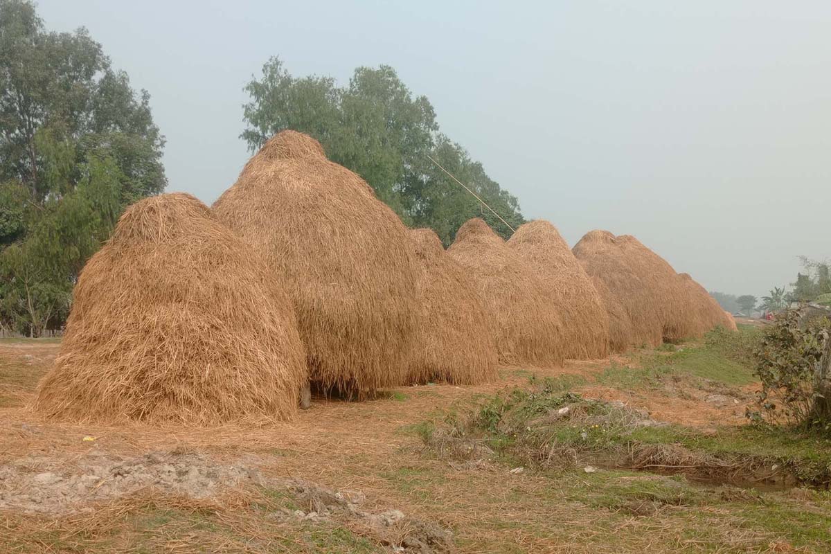 किसानको पराल भण्डारण