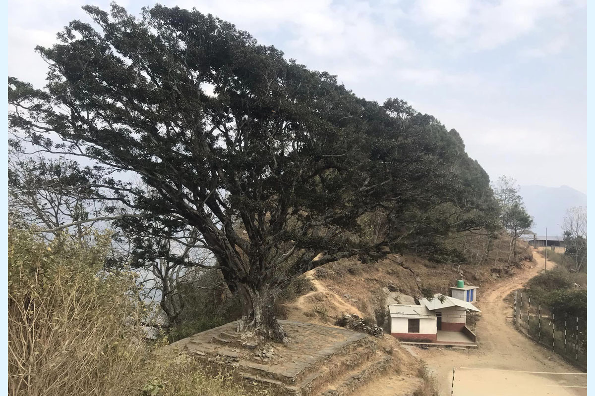 तीन सय वर्ष पुरानो चौतारी