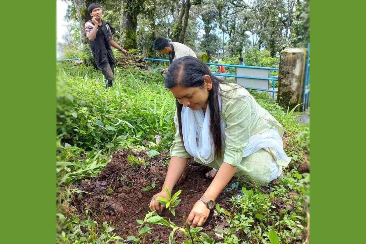 तनहुँको आँबुखेरेनीमा लालीगुराँस संरक्षण अभियान सुरु