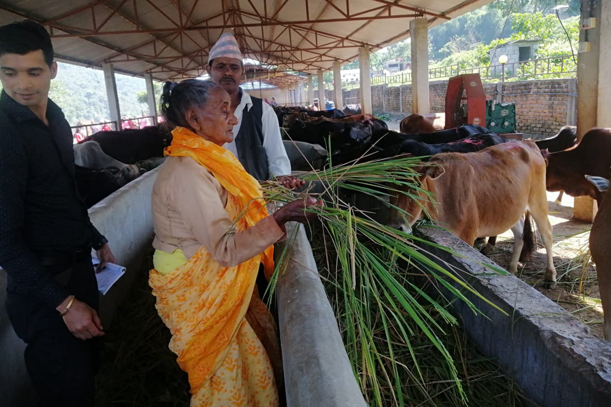 परम्परा धान्दै ९० वर्षीया गङ्गादेवी