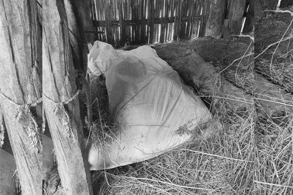 महिलाको हत्या आरोपमा पतिसहित तीन जना पक्राउ