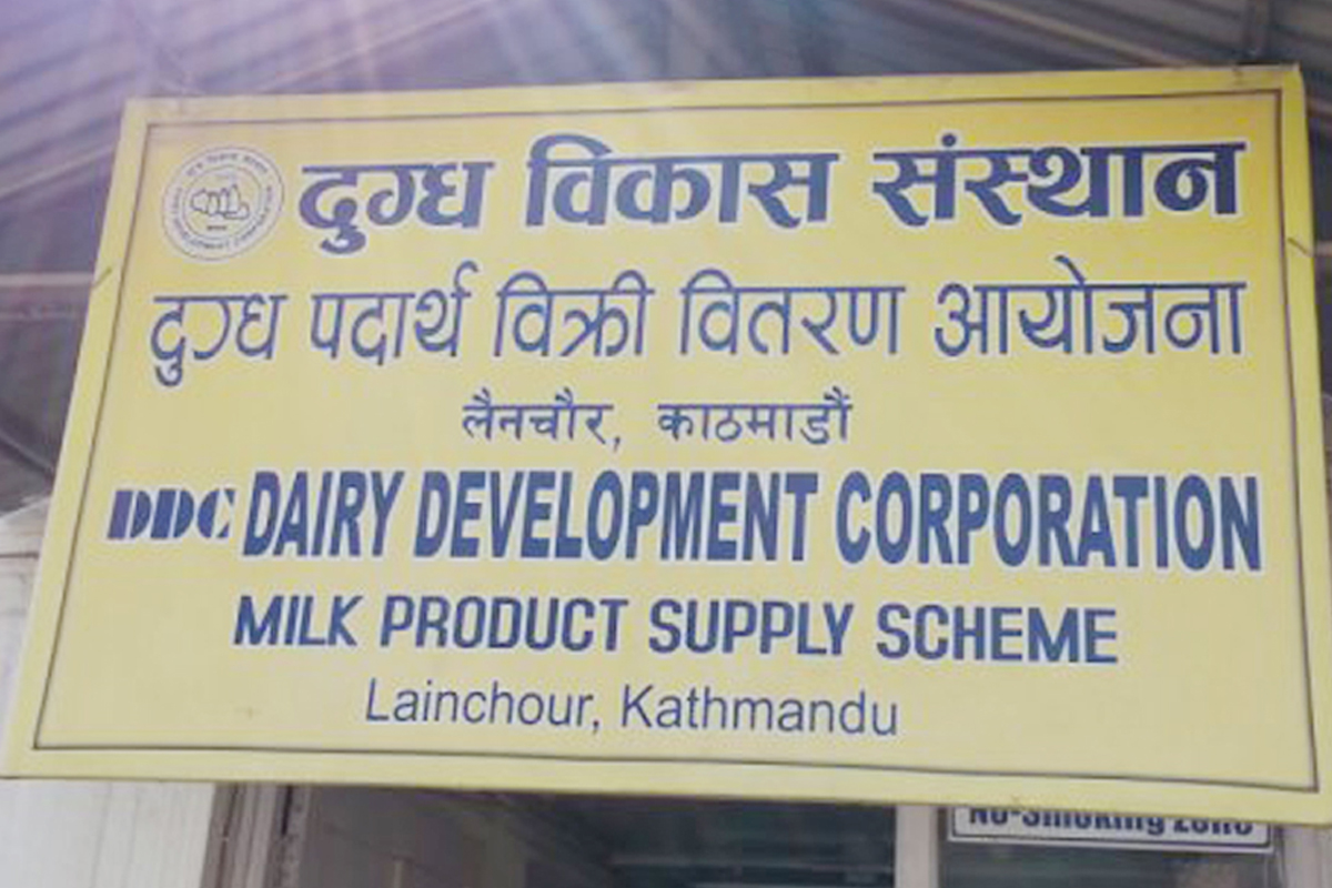 दुग्ध विकास संस्थानको महाप्रबन्धकमा झा