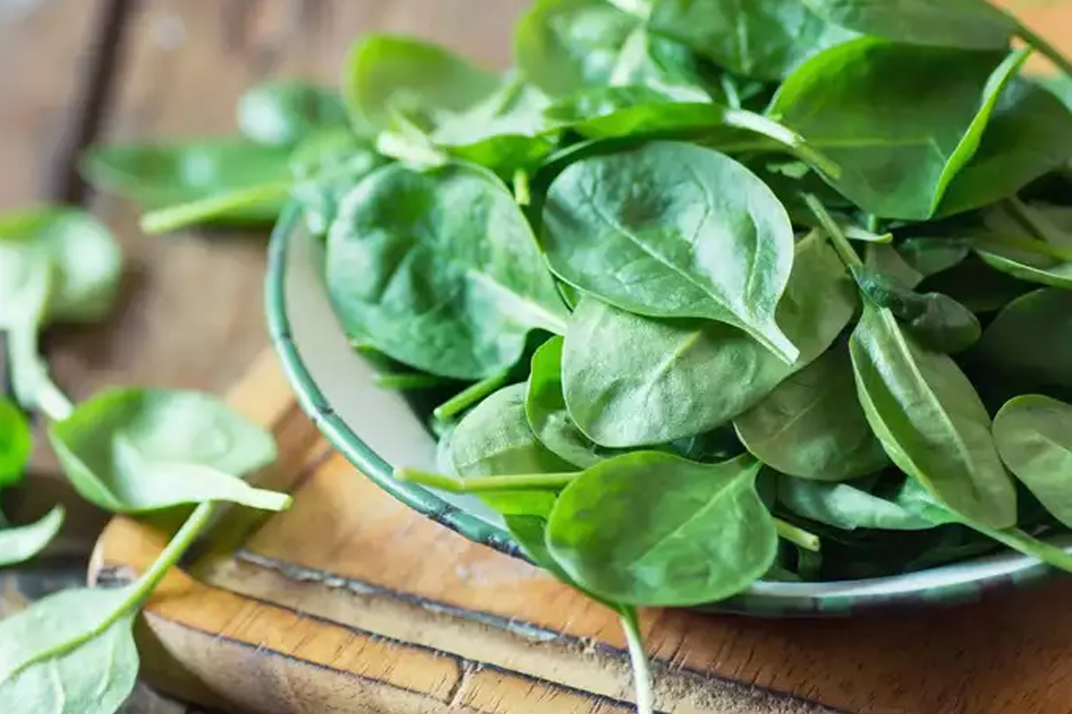 पालकको अधिक सेवन स्वास्थ्यका लागि हानिकारक