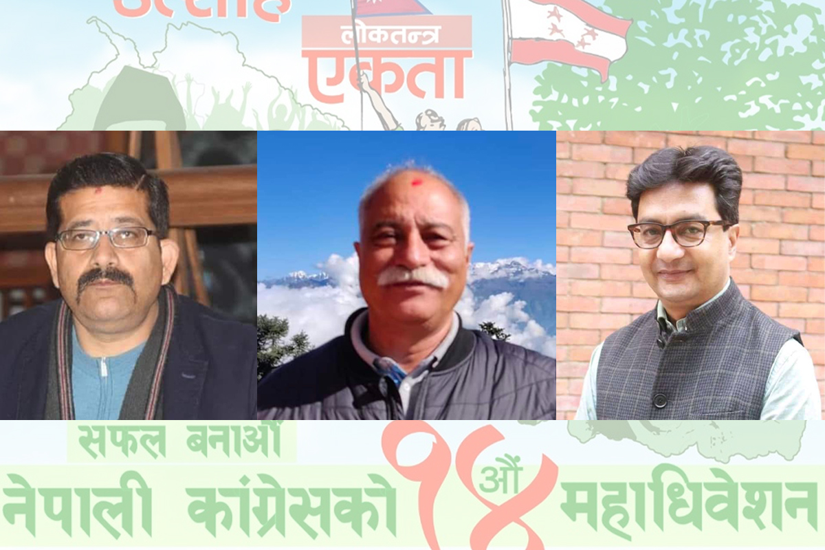 कांग्रेसमा ललितपुरबाट तीन जना केन्द्रीय सदस्य विजयी