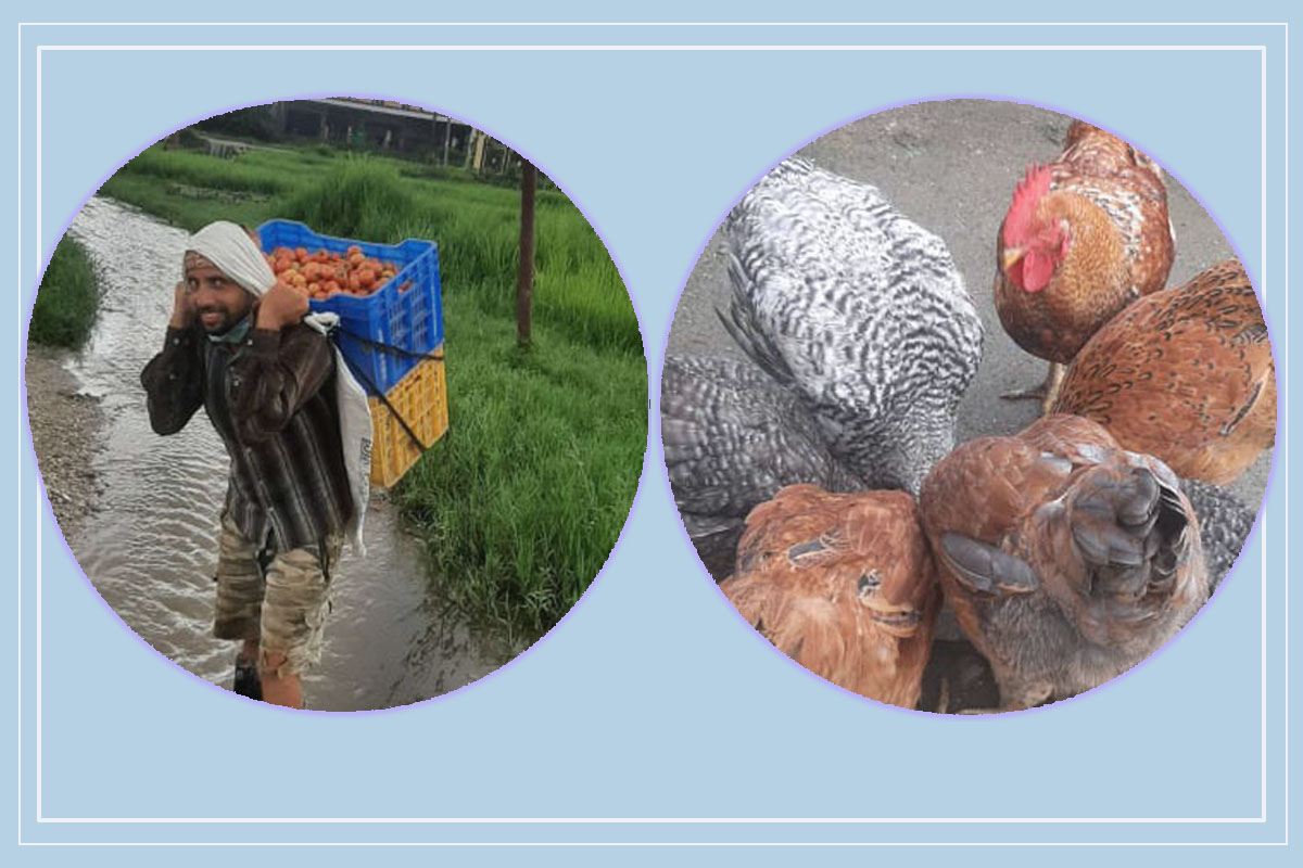 सिनेमा हल बन्द हुँदा खुलेको अर्को ढोका