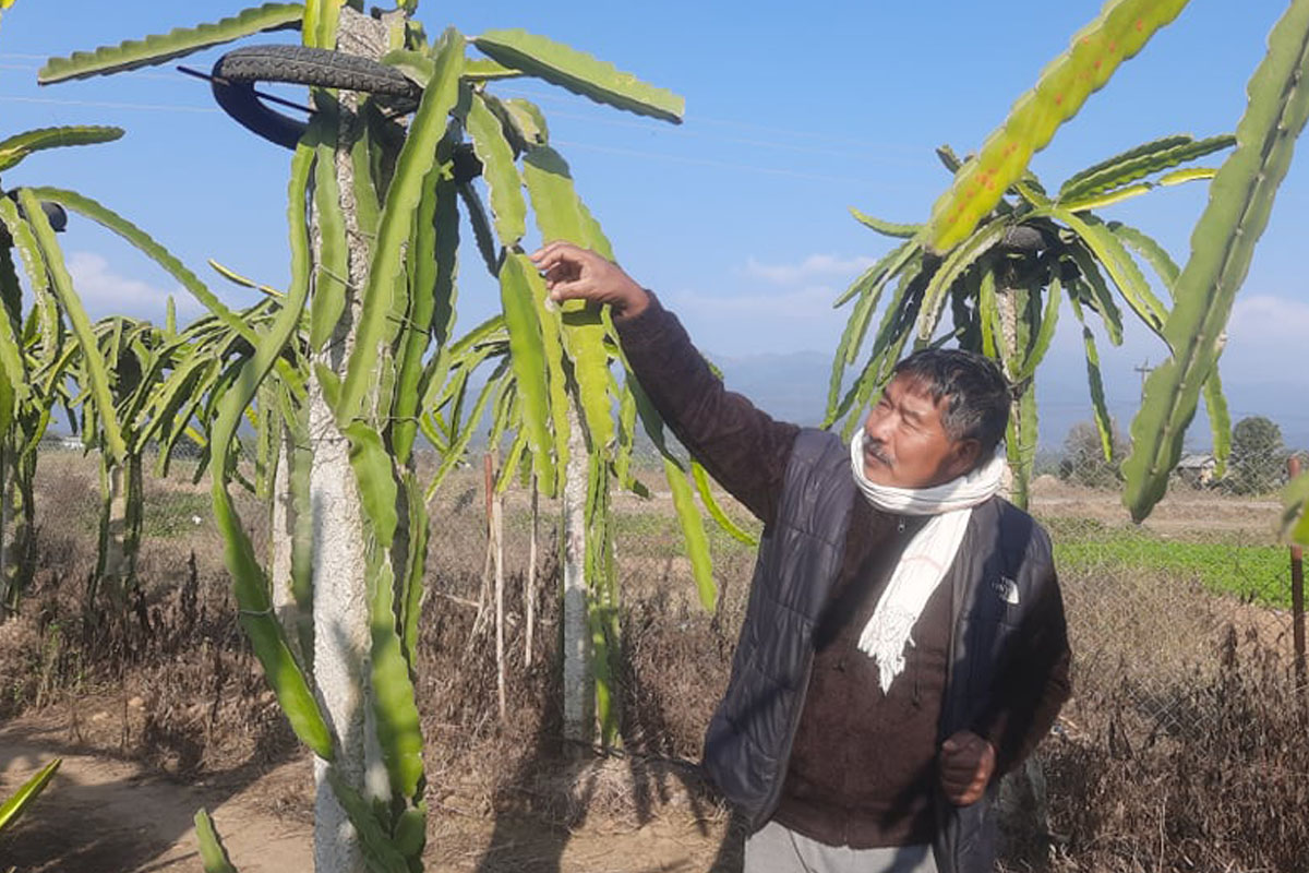 गोकर्ण अर्थात् कृषिका अब्बल नेता