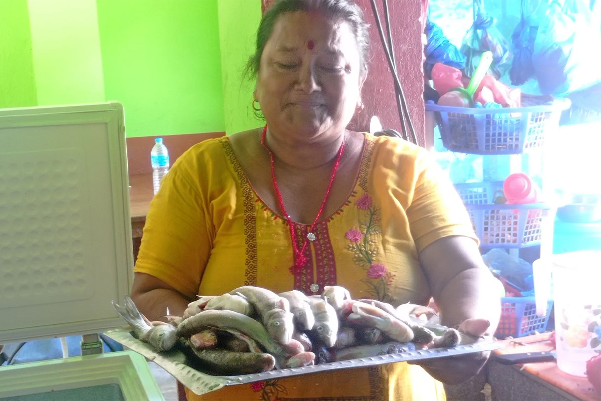 मेलम्ची, इन्द्रावतीमा बढ्यो माछाको व्यापार