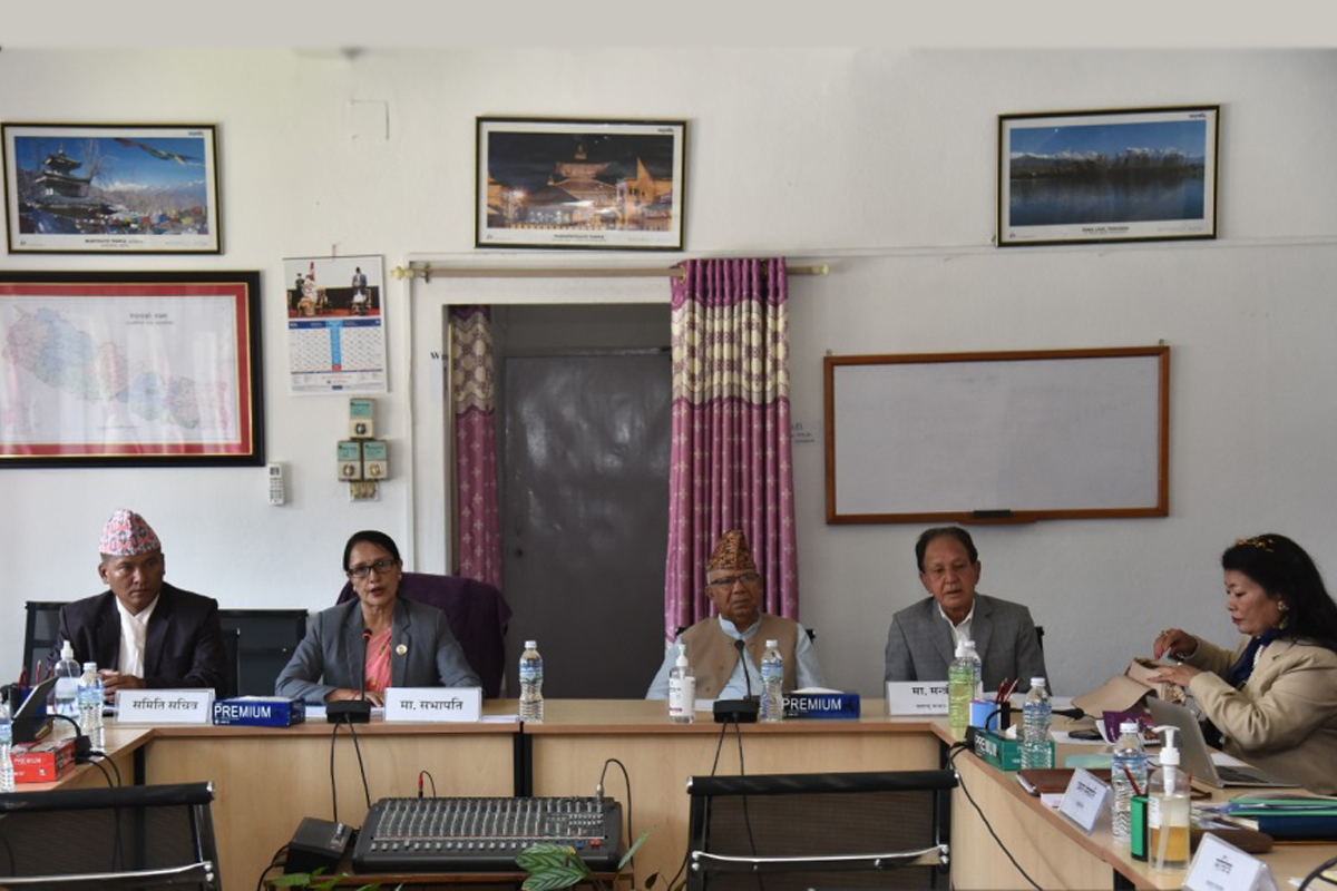 संसदीय समितिमा एसपीपी छलफल– प्रधानमन्त्रीलाई सजग बनाउनुपर्छ
