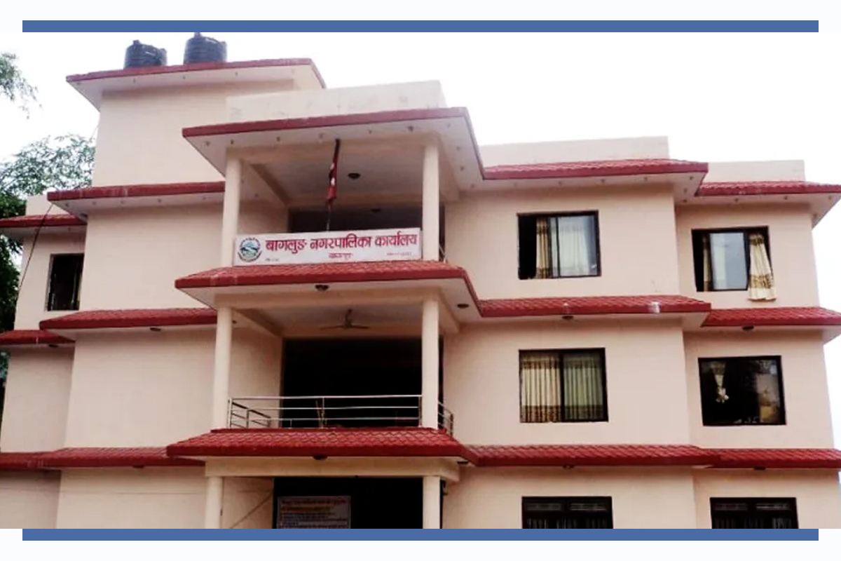 नगरपालिकाद्वारा मकै, सुन्तला र तरकारी खेती प्रवर्द्धन कार्यक्रम सञ्चालन
