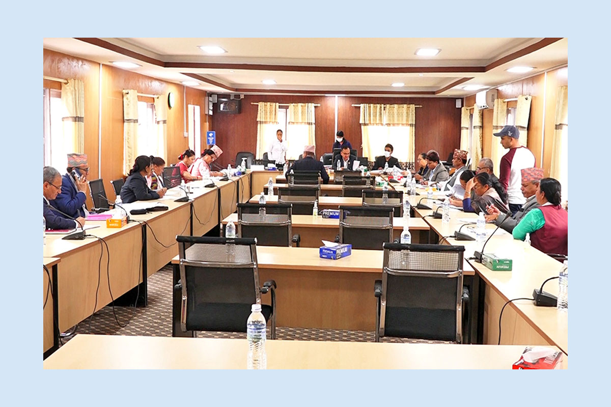 बलात्कार मुद्दामा ३ र २ वर्ष हदम्याद राख्न संसदीय समितिमा सहमति जुट्यो