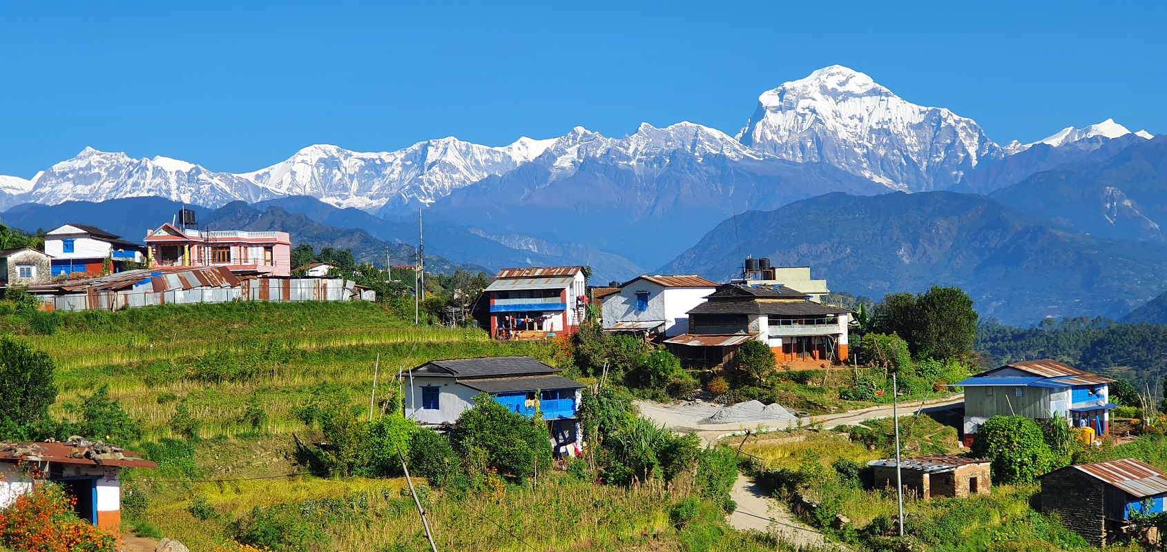 ओमिक्रोनको भयले पर्यटन क्षेत्र फेरि प्रभावित