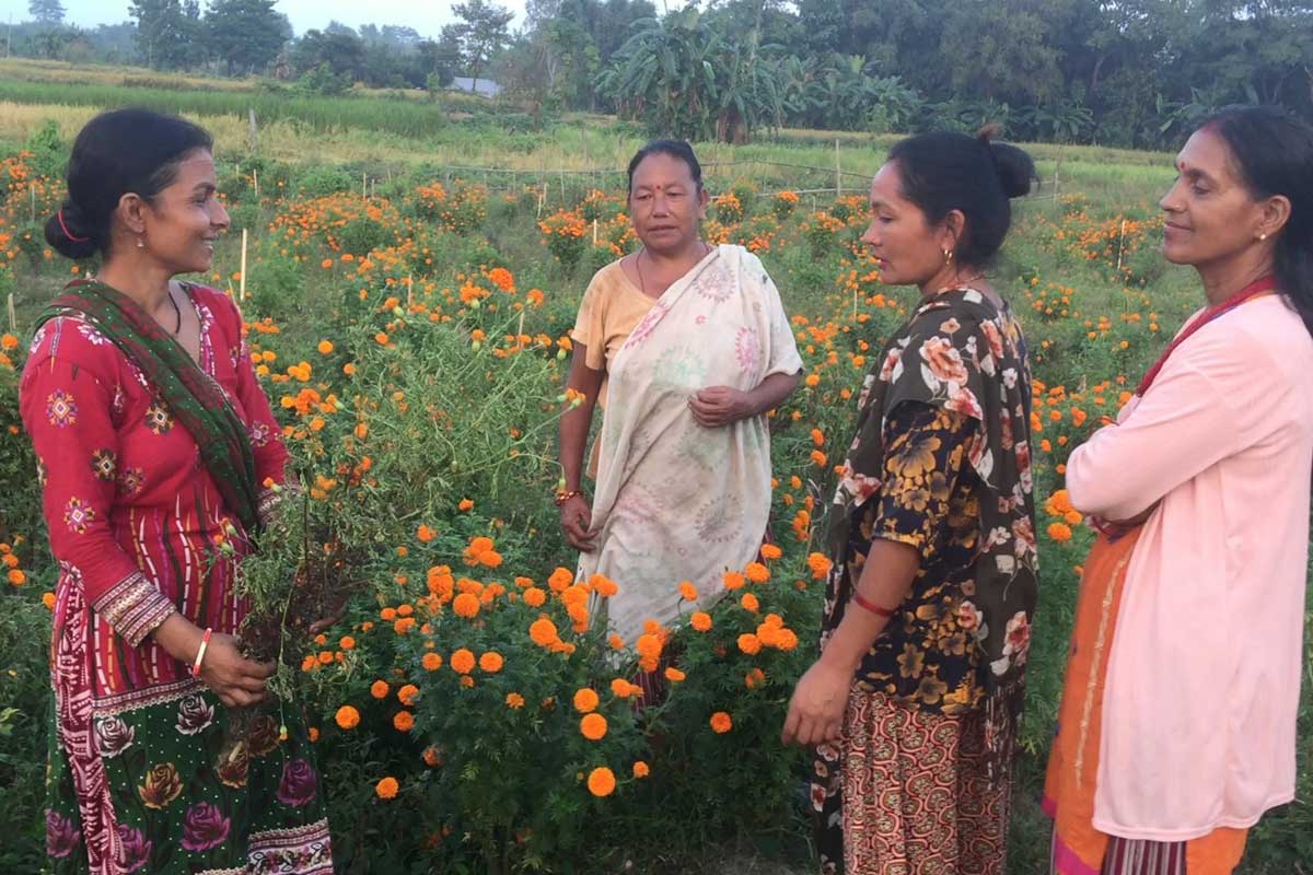 फूलसँगै २० महिलाको मिहिनेत पनि बगायो पानीले