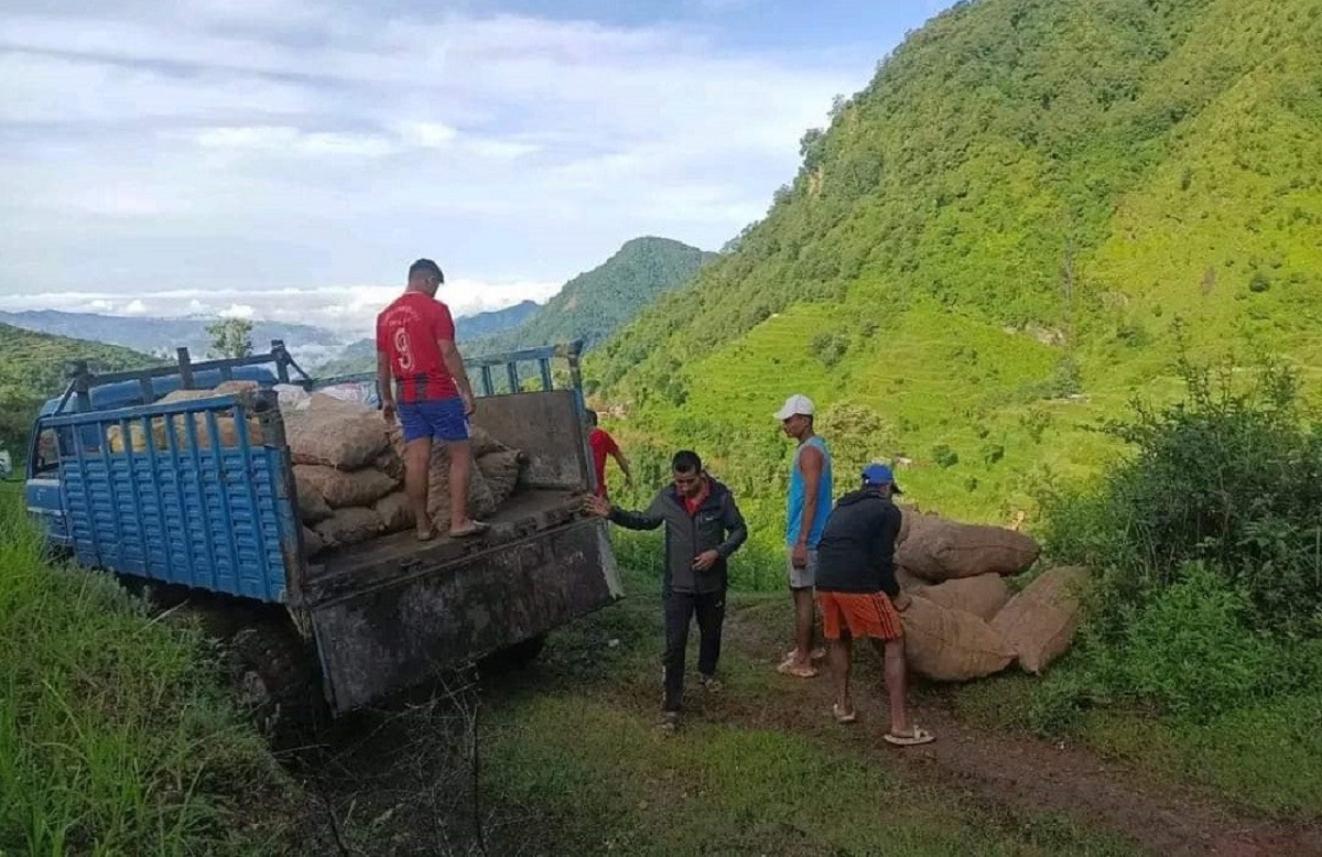 स्थानीय आलुले काठमाडौंमा समेत बजार पाउन थालेपछि उत्साहित छन् जुगलका किसान