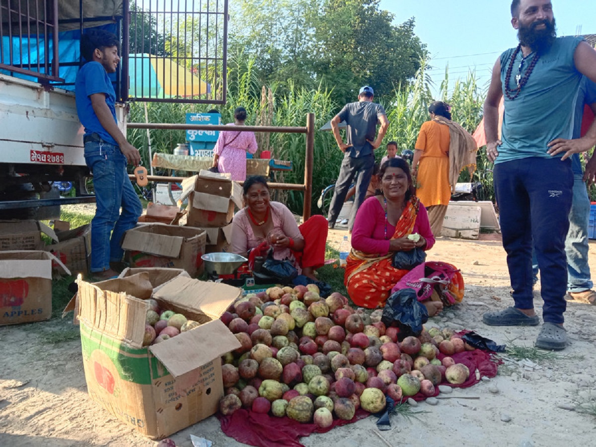 जुम्लाको उत्पादन, कैलालीमा व्यापार