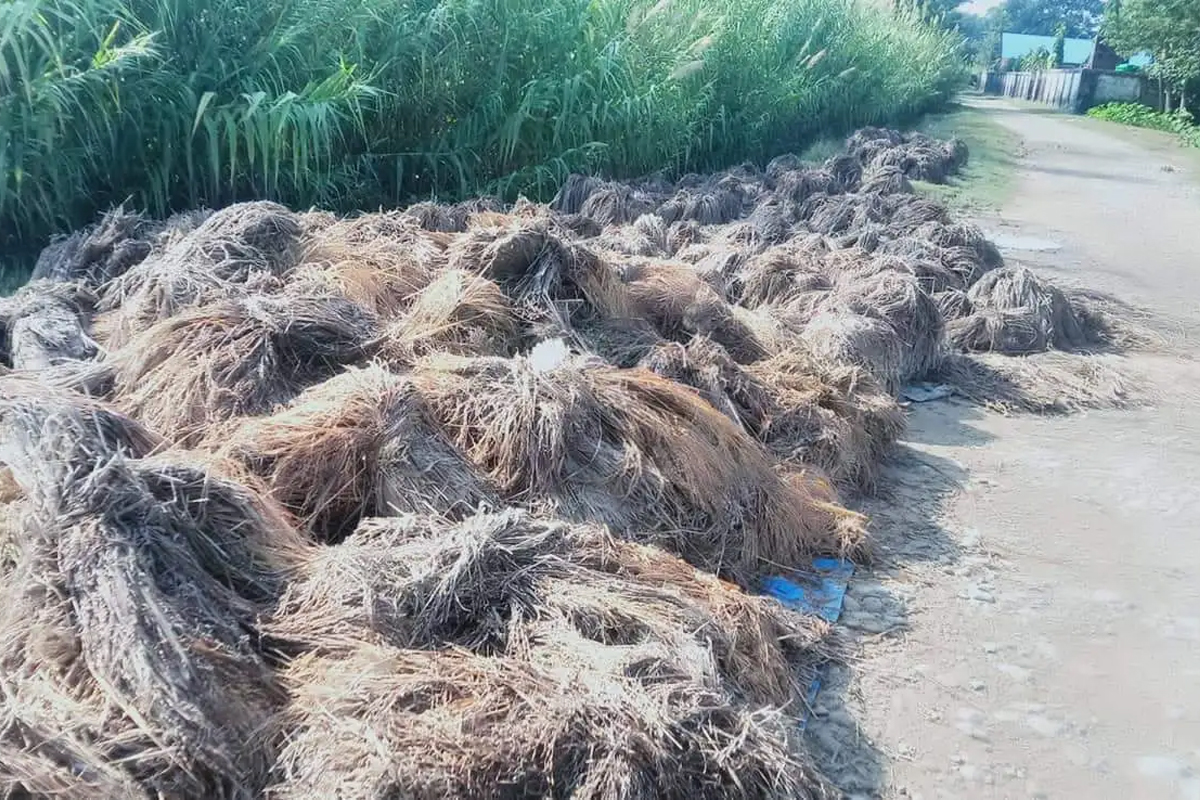 कैलाली बाढी : 'किन खेती लगाइएछ जस्तै लागेको छ'