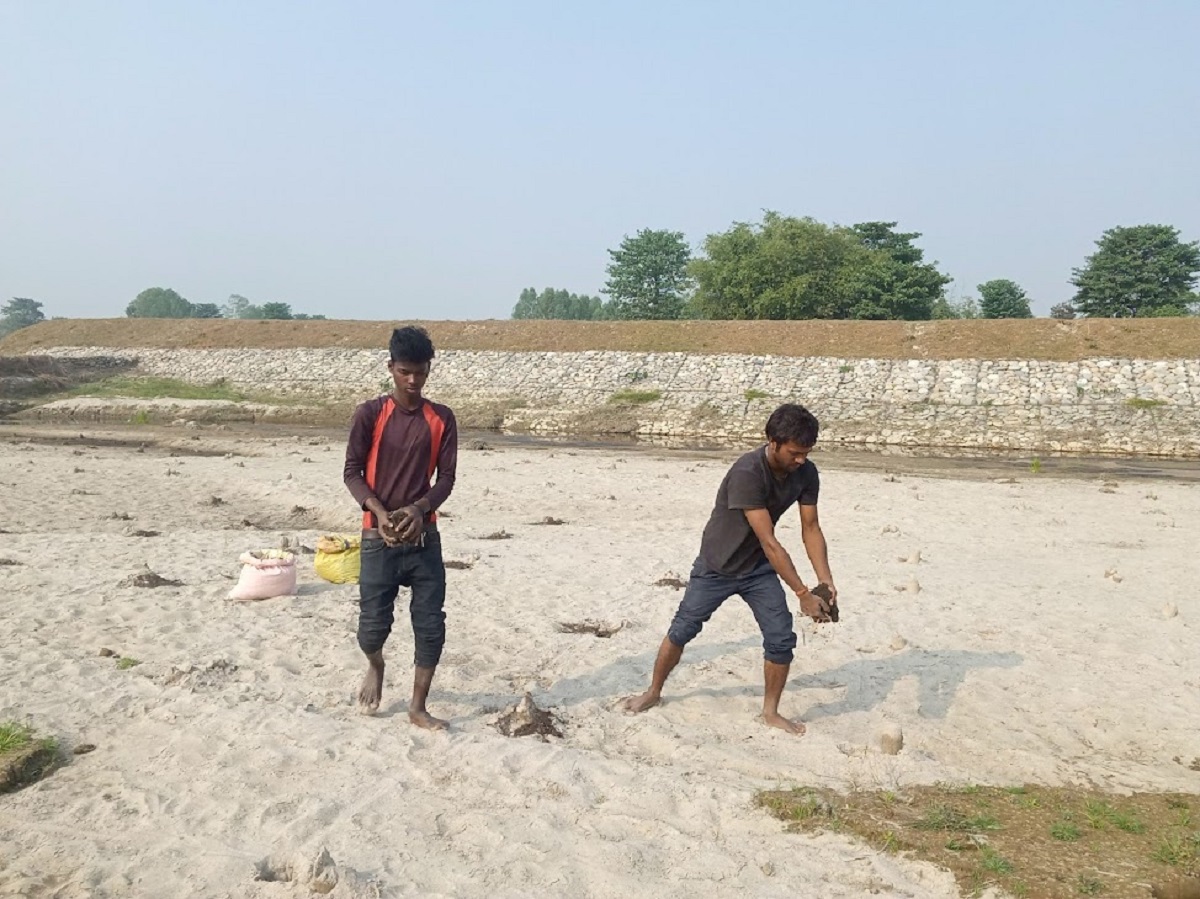 बगरमा 'पैसा' रोप्दै किसान