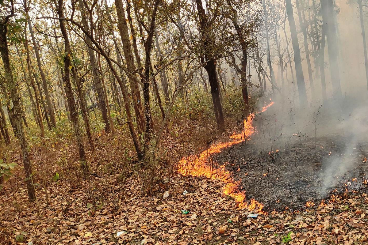 रामेछापको ४५ सय हेक्टर वन डढेलोले सखाप