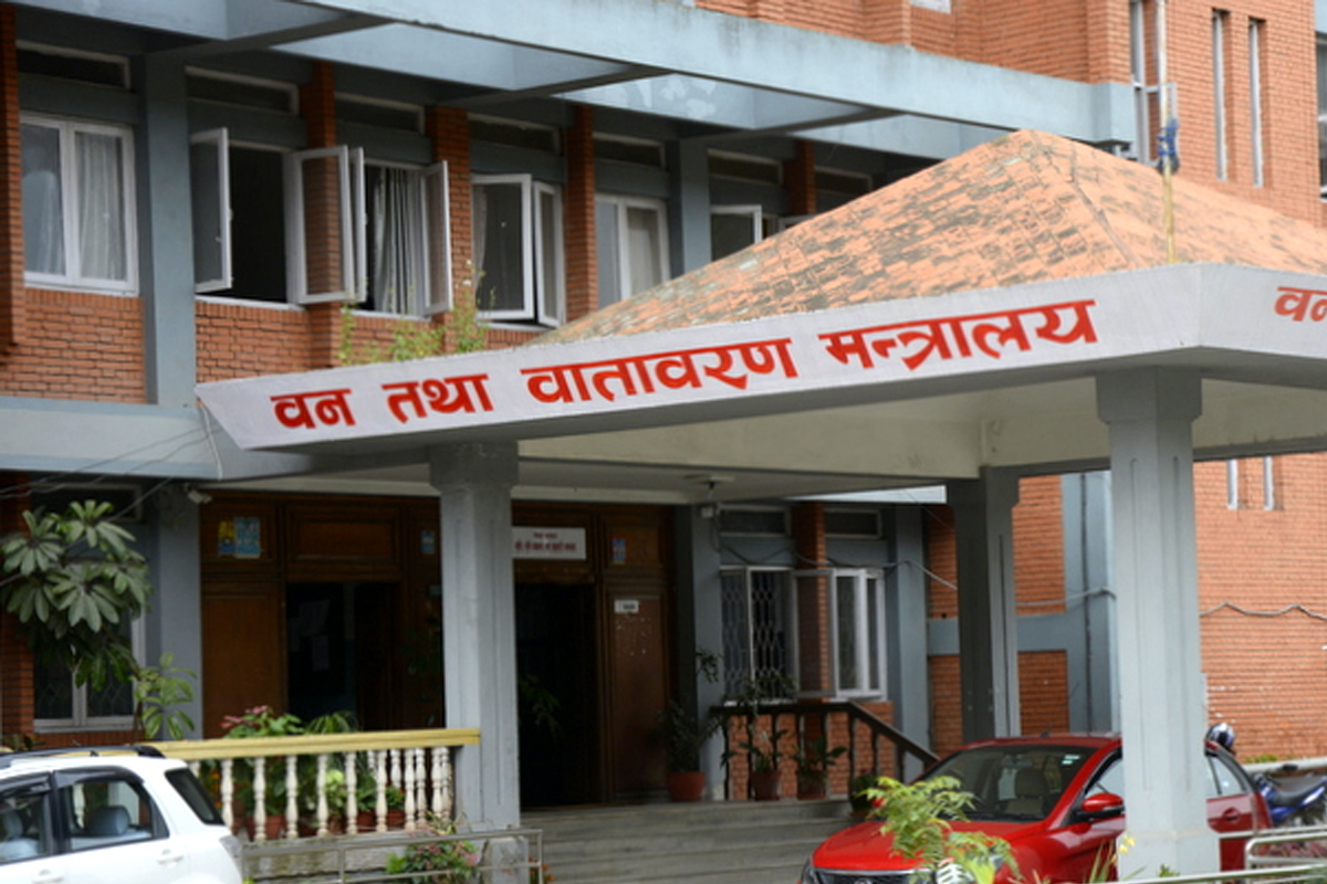 प्लास्टिकजन्य फूलगुच्छा र माला बिक्री गरे एक लाखसम्म जरिवाना