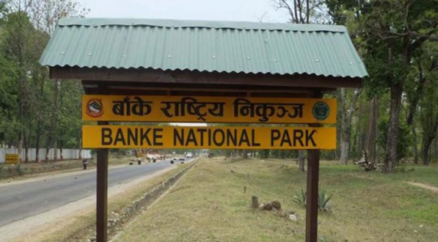 सवारी दुर्घटनामा परी ७ वर्षमा बाँके निकुञ्जका ३५८ वन्यजन्तु मारिए