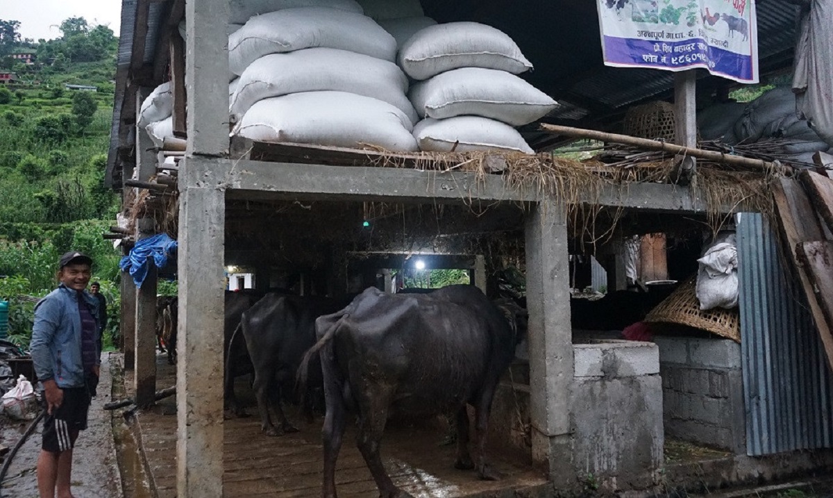 गहुँतबाट यसरी बनाइन्छ मल र विषादी