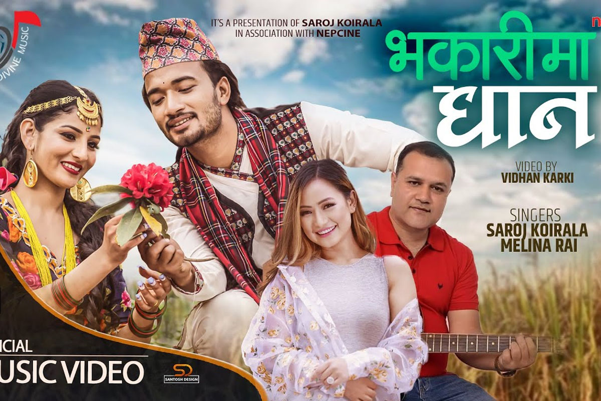 सरोज कोइरालाको भकारीमा धान सार्वजनिक