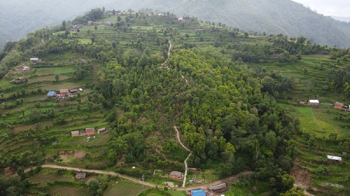 भोजपुरको वाक्चाखामा 'जाल्पादेवी गुराँस पदमार्ग' निर्माण