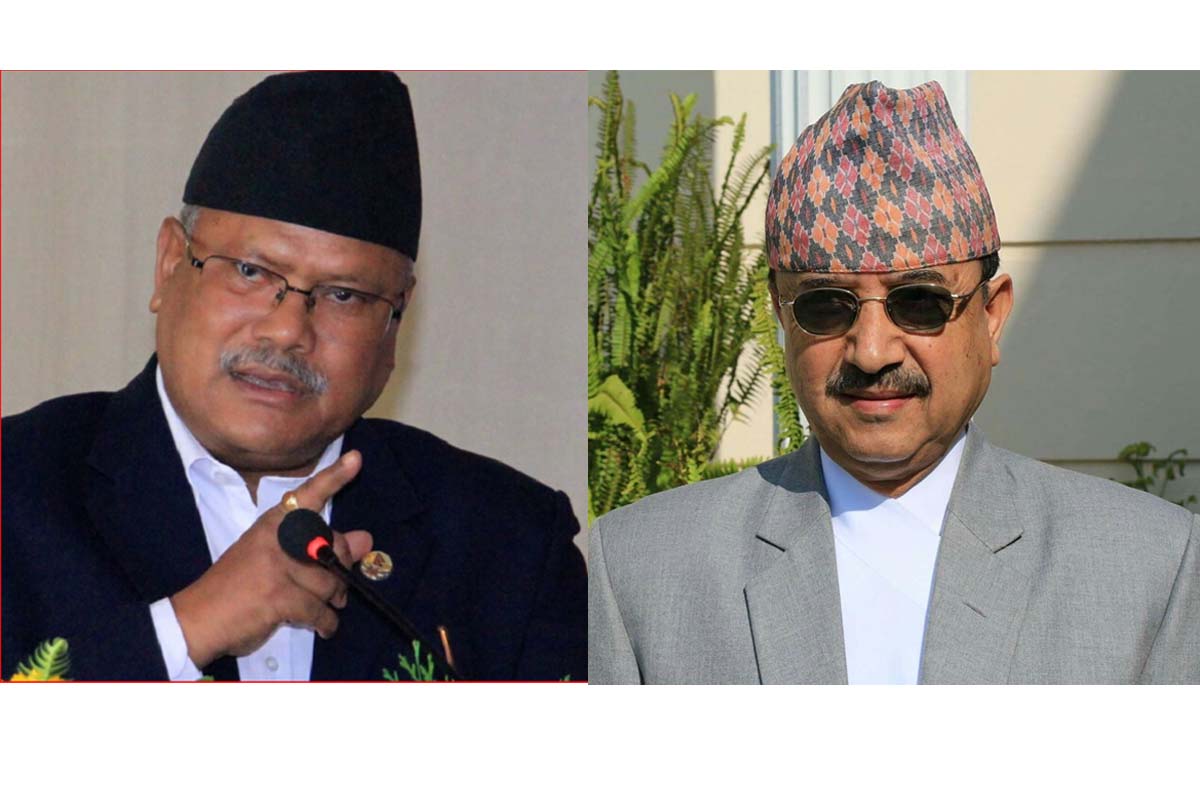 संस्थापन पक्षबाट उपसभापतिमा विजय र पूर्णबहादुरको टुंगो