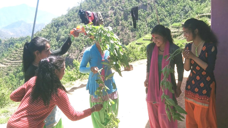 सुदूरपश्चिममा बिसु पर्व मनाइँदै