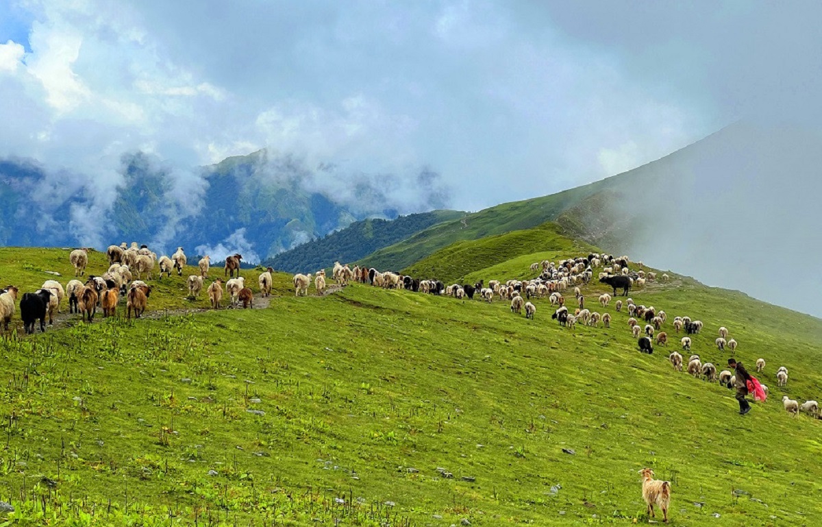 पदयात्राका लागि उत्कृष्ट गन्तव्य बन्दै 'बुकीपाटन'
