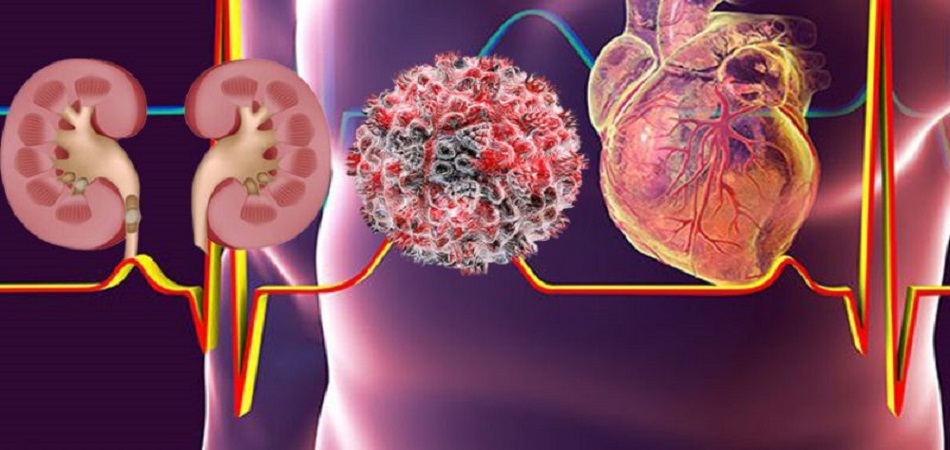 ‘र्‍याम्प सो’मा उत्रिए क्यान्सर जितेकाहरु
