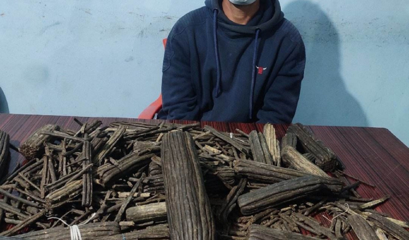 नौ किलो चरेससहित अत्तरियाबाट एक जना पक्राउ