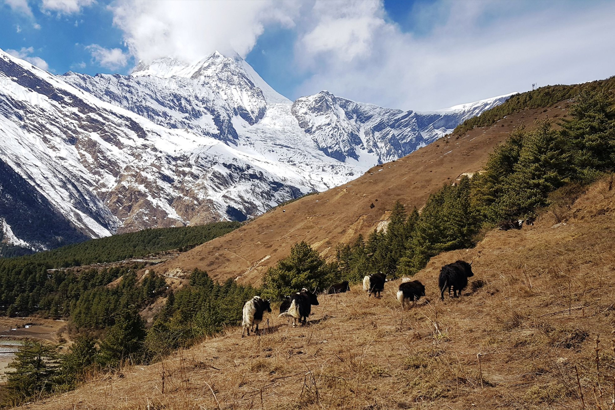 पुरस्कारले कृषकमा थपियो उत्साह